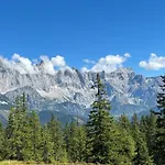 In Near Amade