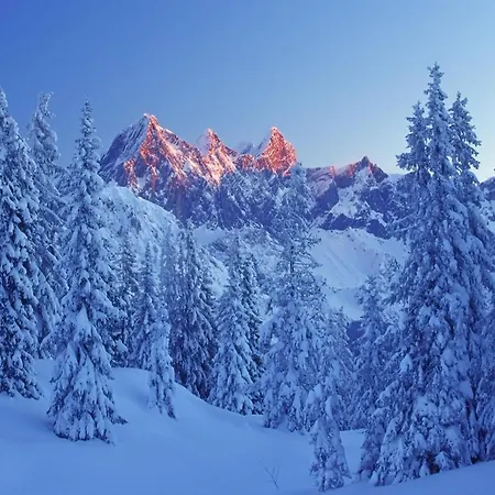 In Near Amade Apartment Filzmoos