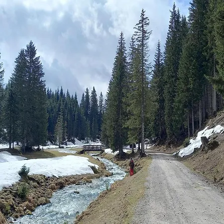 In Near Amade فيلزموس